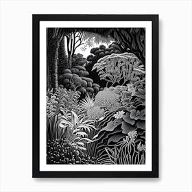 San Diego Botanic Garden, 1, Usa Linocut Black And White Vintage Art Print