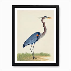 Great Blue Heron Illustration Bird Art Print