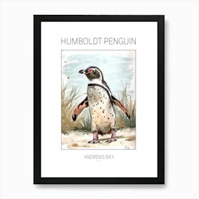 Humboldt Penguin Andrews Bay Watercolour Painting 4 Poster Art Print