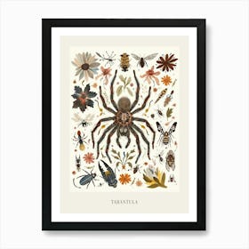 Colourful Insect Illustration Tarantula 14 Poster Art Print