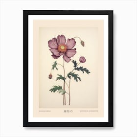 Hanaichige Japanese Anemone 1 Vintage Japanese Botanical Poster Poster