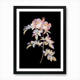 Stained Glass Shining Rosa Lucida Mosaic Botanical Illustration on Black n.0132 Art Print