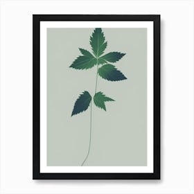 Nettle Herb Simplicity Art Print