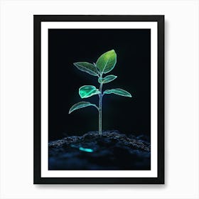 Green Plant On The Ground 1 Art Print