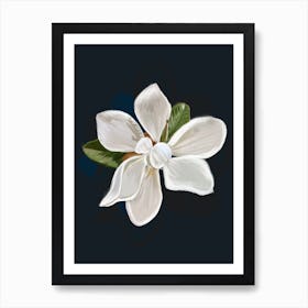 Magnolia Art Print