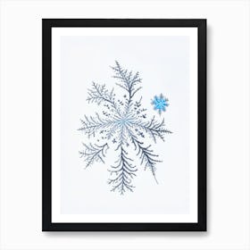 Fernlike Stellar Dendrites, Snowflakes, Pencil Illustration 5 Art Print