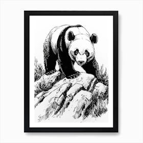Giant Panda Walking On A Mountain Ink Illustration 3 Art Print