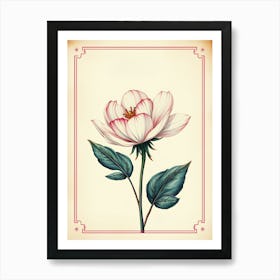 Vintage Peony Flower Art Print