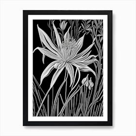 Spider Lily Wildflower Linocut 2 Art Print