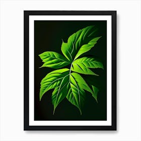 Snakeroot Leaf Vibrant Inspired 2 Art Print