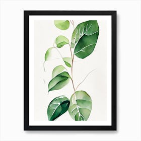 Wild Ginger Leaf Minimalist Watercolour 1 Art Print