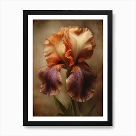 2024 May Poster Canvas Sng Iris 8 Art Print