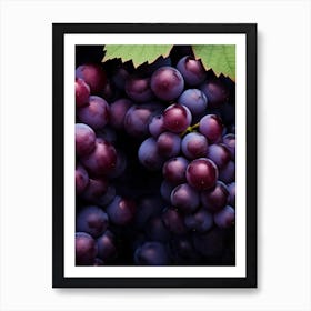 Purple Grapes 1 Art Print