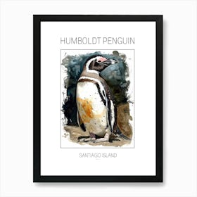 Humboldt Penguin Santiago Island Watercolour Painting 1 Poster Art Print