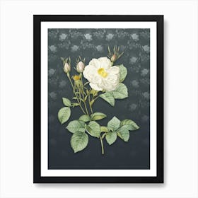 Vintage White Rose of York Botanical on Slate Gray Pattern n.2293 Art Print