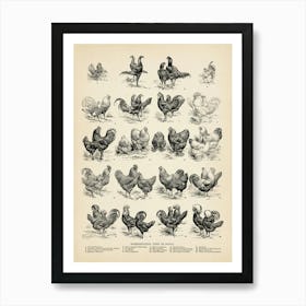 Breeds of Fowls Print, Types of chicken, Farmhouse decor, Cottage Wall Art, Hen Chart, Fowl home decor, Poultry Ranch Farming Gift Idea Art Print