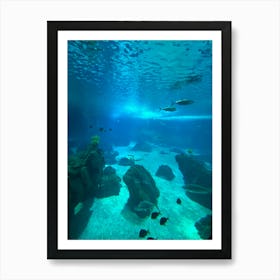 Aquarium With Fishes Poster