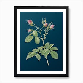 Vintage Evrat's Rose with Crimson Buds Botanical Art on Teal Blue n.0118 Art Print