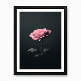 Pink Rose 29 Art Print