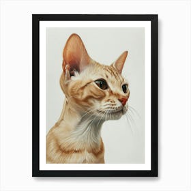 Oriental Shorthair Cat Painting 1 Art Print