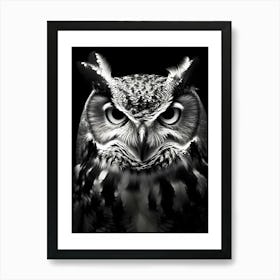 Owl Portrait Poster