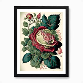 Rose Floral 3 Botanical Vintage Poster Flower Art Print