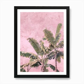 Banana Trees On A Pink Wall Art Print