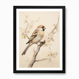 Vintage Bird Drawing Finch 1 Art Print