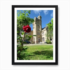 Red Rose In Front Of Scottish Castle Art Print