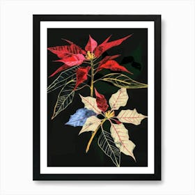 Neon Flowers On Black Poinsettia 2 Art Print