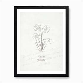 Primrose Birth Flower | Antique Art Print