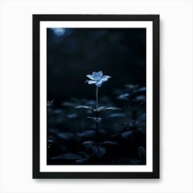 Dark Blue Flower 11 Art Print