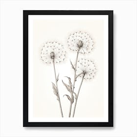 Dandelions Flower Vintage Botanical 2 Art Print