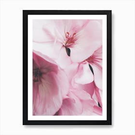 Pink Flowers Photo Art Print