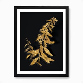Vintage Goji Berry Tree Botanical in Gold on Black n.0344 Art Print
