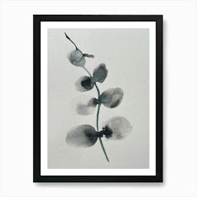 Eucalyptus Art Print