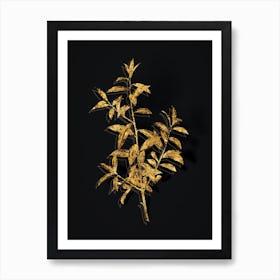 Vintage Alabama Dahoon Branch Botanical in Gold on Black n.0182 Art Print