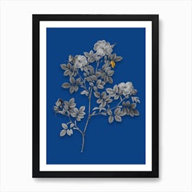 Vintage Rose Corymb Black and White Gold Leaf Floral Art on Midnight Blue n.0902 Art Print