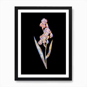 Stained Glass Dalmatian Iris Mosaic Botanical Illustration on Black n.0083 Art Print