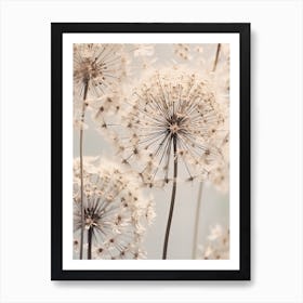 Dandelions 5 Art Print