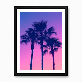 Sunset Palm Trees 3 Art Print