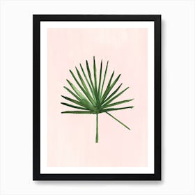Windmill Palm Art Print
