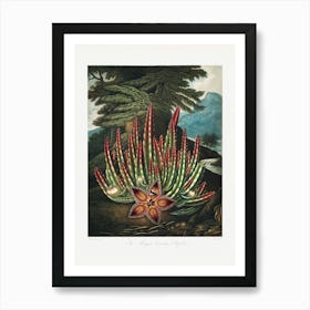 Vintage Botanical Temple Of Flora _2476834 Art Print