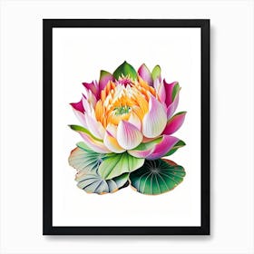 Amur Lotus Decoupage 1 Art Print