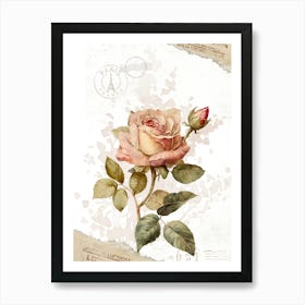 Vintage Rose Art Print