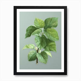 Vintage White Mulberry Plant Botanical Art on Mint Green n.0603 Art Print