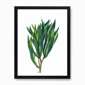 Parlor Palm (Chamaedorea Elegans) Watercolor Art Print