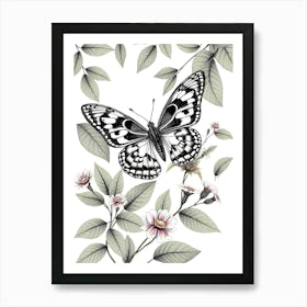 Butterfly And Flowers 4 Art Print