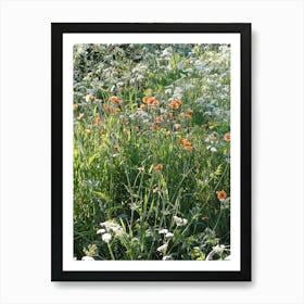 Wildflowers 2 Art Print