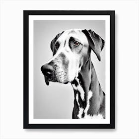 Great Dane B&W Pencil Dog Art Print